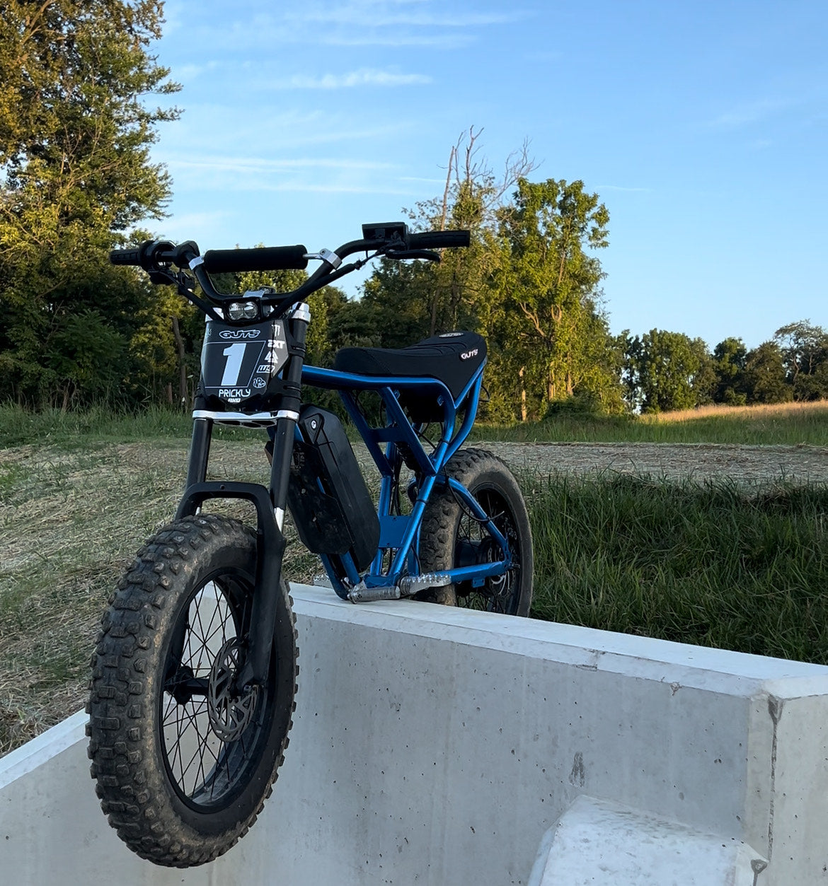 Ridstar Macfox Super73